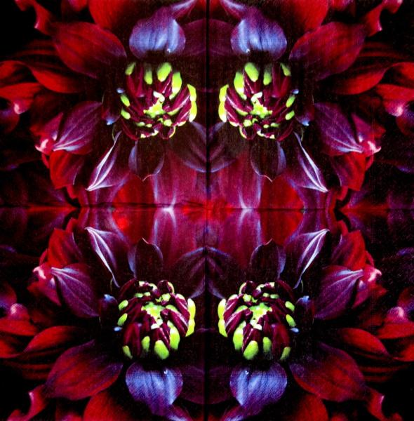 001 Flowers Others - 3 ply